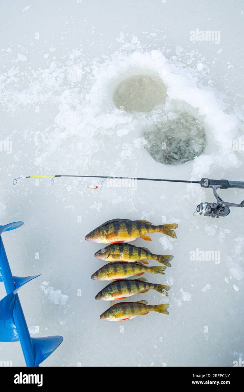 Image: Experience the Thrills of British Ice Fishing in a Live Demo Game Setup